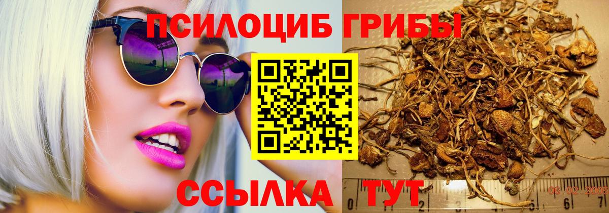 Галлюциногенные грибы прущие грибы Белорецк