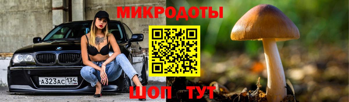 Галлюциногенные грибы Psilocybe  Вход с VPN  Псилоцибиновые грибы прущие грибы  Белорецк 